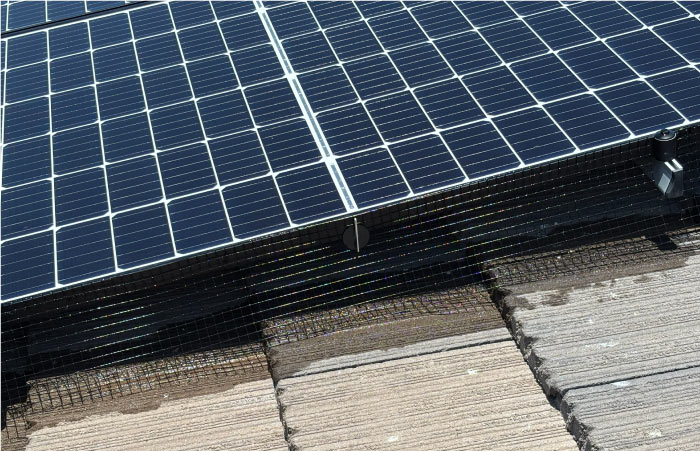 Detailed installation of black wire mesh exclusion netting securing the underside of a residential solar panel array to block bird access