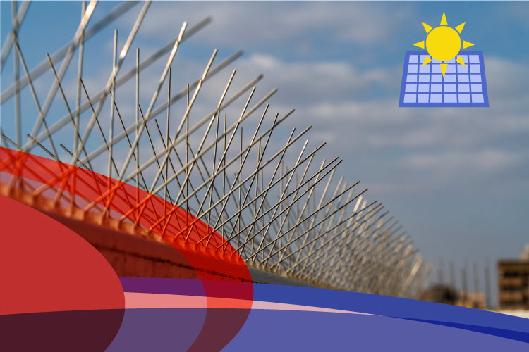 what are bird spikes: Sharp image of metal bird spikes installed on a concrete ledge, featuring a sun and solar panel icon in the background.