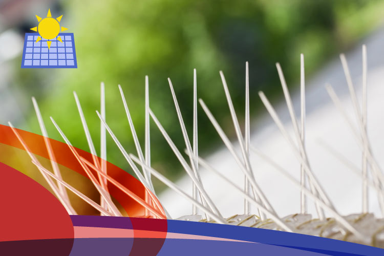 Close-up of white, plastic spikes for bird proofing installed on a rooftop, with a blurry green background and a solar panel icon