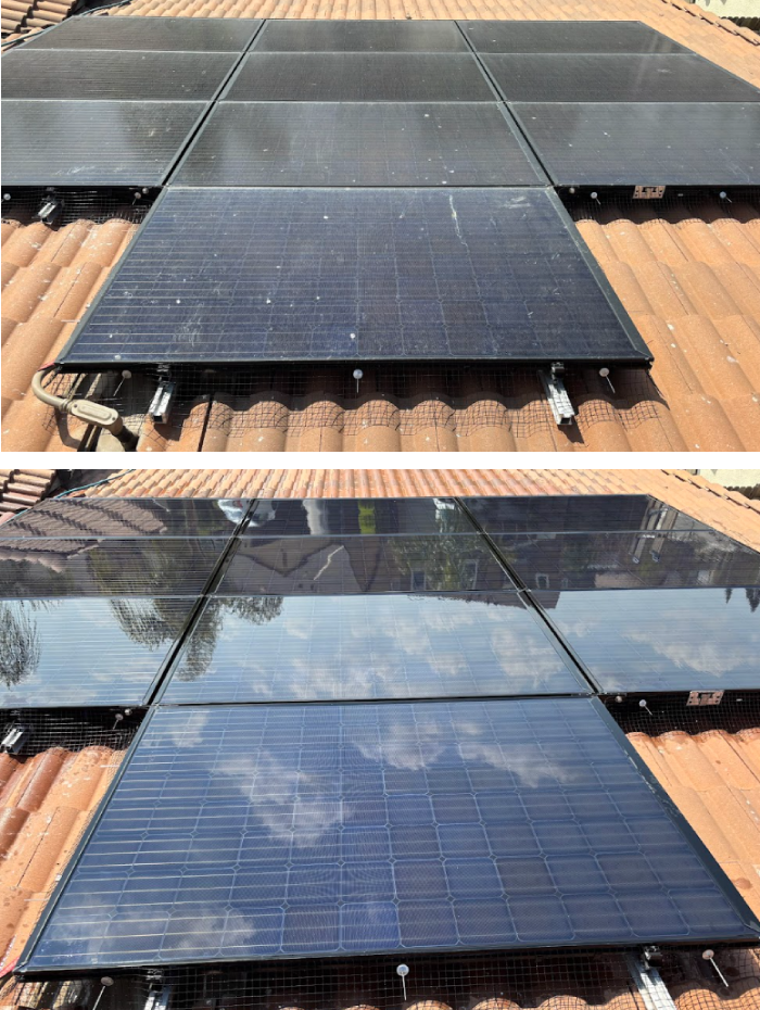 Before and after view of residential solar panels on a tile roof featuring installed bird-proof wire mesh; the "before" image shows heavy spotting and bird droppings, while the "after" image shows a streak-free, reflective finish.